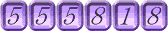 555818