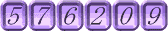 576209