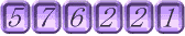 576221