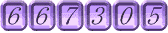 667305